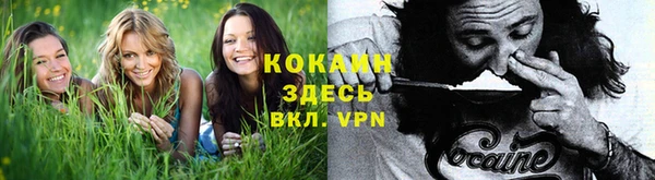 кокаин Алексеевка