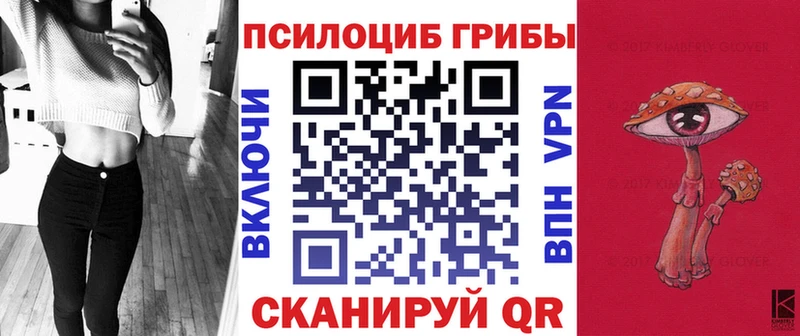 Псилоцибиновые грибы мицелий  кракен   Фатеж  наркошоп 