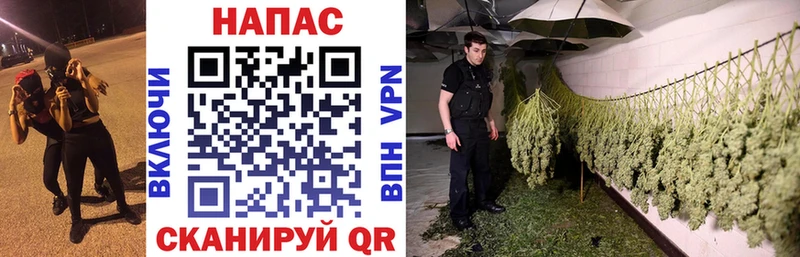 Шишки марихуана Ganja  купить  цена  Фатеж 